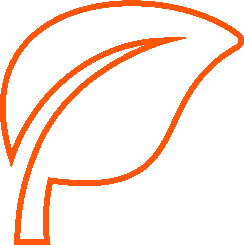 Спил деревьев в Беларуси